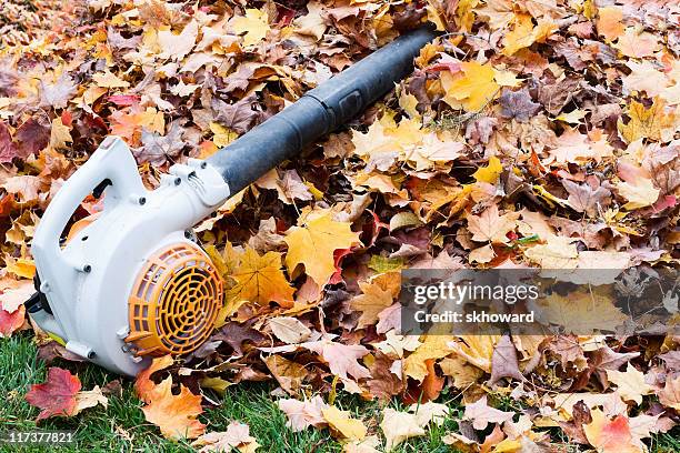 leaf blower on a pile of leaves. fall clean-up - leaf blower stock pictures, royalty-free photos & images