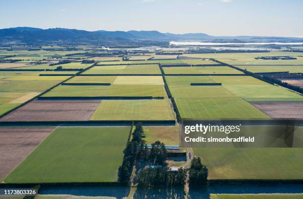 hoog boven de canterbury plains, nieuw-zeeland - christchurch stockfoto's en -beelden