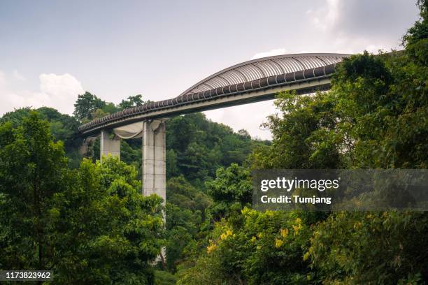 the highest public pedestrian bridge in singapore, henderson waves bridge, 36 metres above the ground, connect to mount faber park to telok blangah hill park. - garden bridge stockfoto's en -beelden