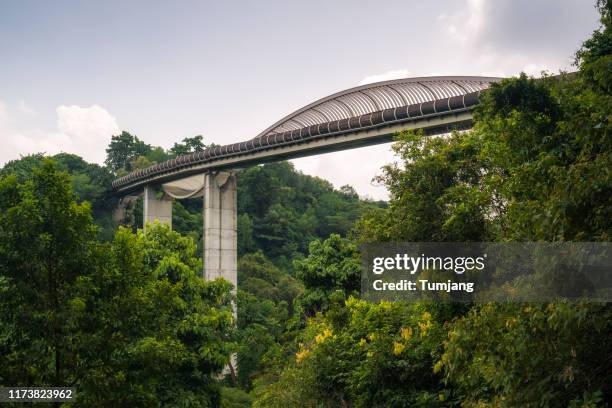 the highest public pedestrian bridge in singapore, henderson waves bridge, 36 metres above the ground, connect to mount faber park to telok blangah hill park. - garden bridge stock pictures, royalty-free photos & images