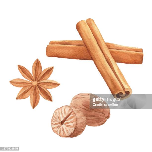 watercolor spices - star anise stock illustrations