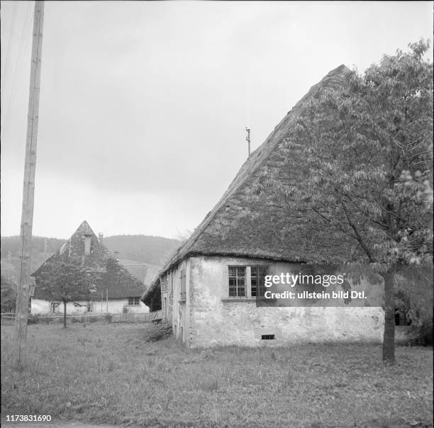 Muhen, rebuilding of the completely burnt down thatched house, 1962