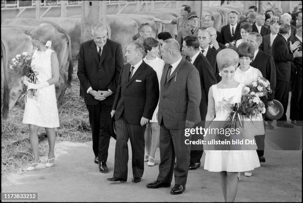 Nello Celio Photos and Premium High Res Pictures Getty Images