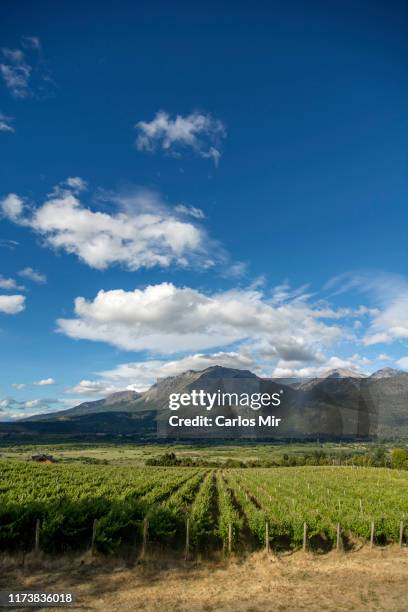 viñedos de chubut - patagonia fields stock pictures, royalty-free photos & images