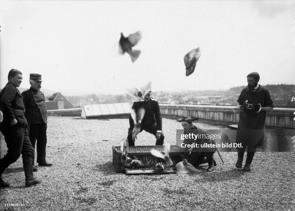 Military service, World War I: manoeuvre, carrier pigeon