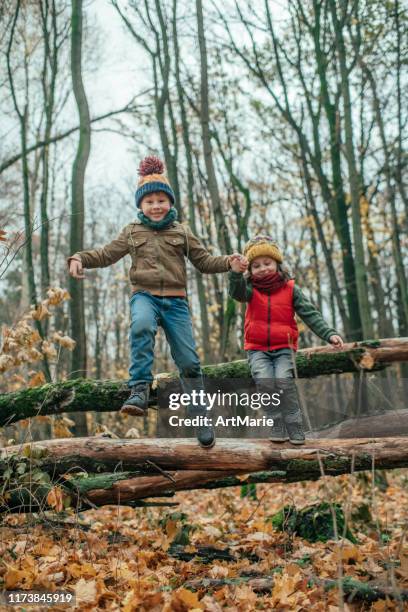 glückliche kinder genießen den herbst im wald - kinder wald herbst äste natürlich stock-fotos und bilder