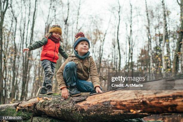 glückliche kinder genießen den herbst im wald - kinder wald herbst äste natürlich stock-fotos und bilder