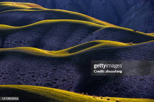 curvy mountain grassland scenery en xinjiang - provincia de xinjiang fotografías e imágenes de stock