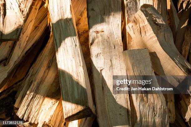 fresh cut firewood - axe stock pictures, royalty-free photos & images