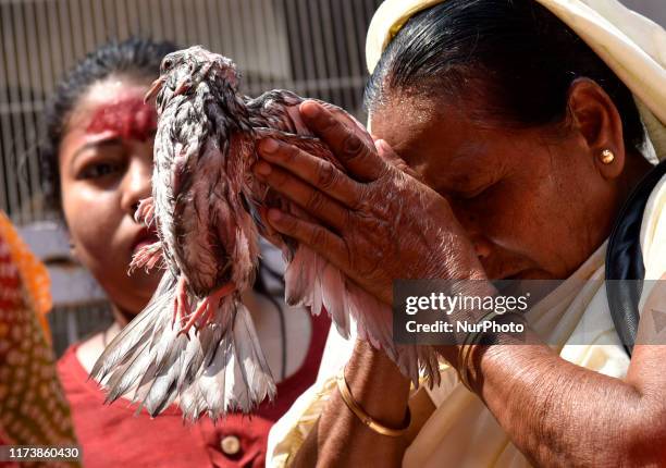 Woman offer prayer with a sacrificial pigeons, at Kamakhya Temple during Durga puja, in Guwahati, Assam, India on Oct. 5, 2019. Buffaloes, goats,...