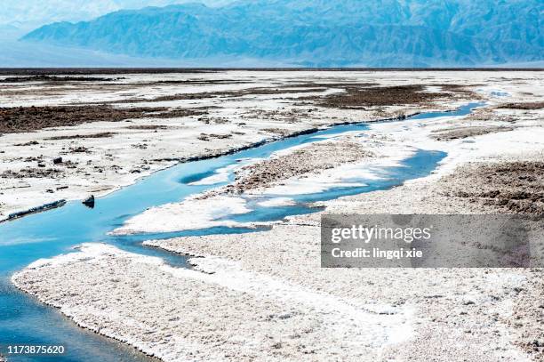 saline-alkali scenery in death valley, las vegas, usa - yellowstone photos et images de collection
