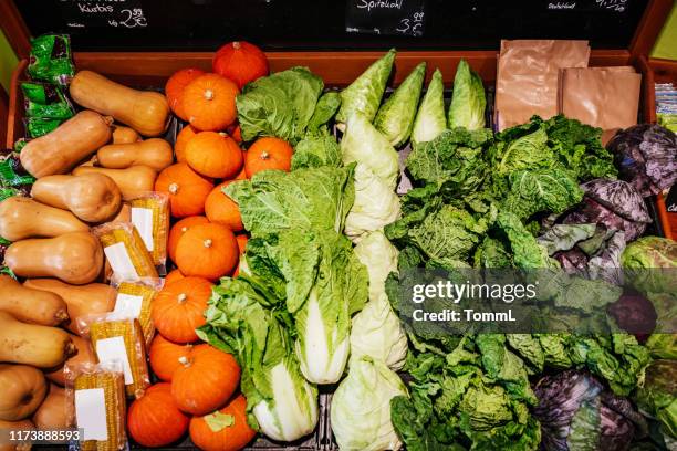 vue aérienne des courge, de la laitue et des choux - produce aisle photos et images de collection