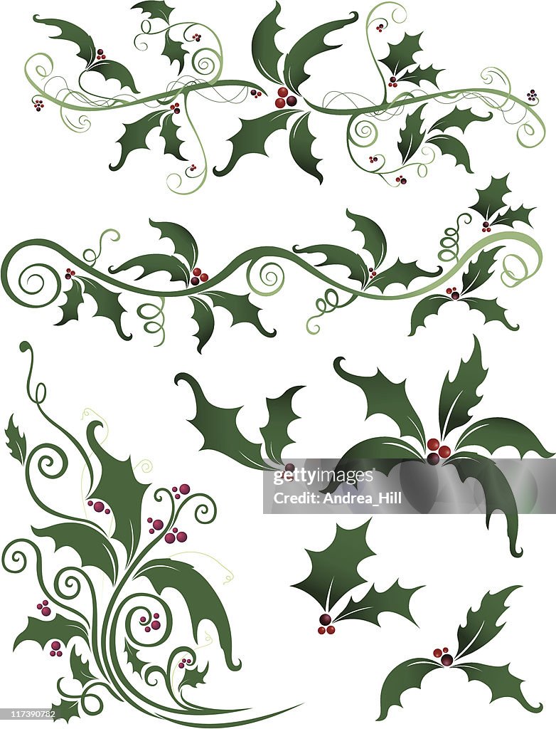 Color Holly Design Holly Design Elements High-Res Vector Graphic - Getty Images