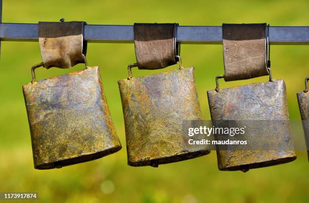 obereggen dolomiti italy - cowbell stock pictures, royalty-free photos & images