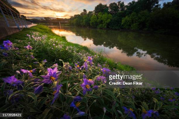 late summer sunrise over the trinity river - fort worth stock pictures, royalty-free photos & images