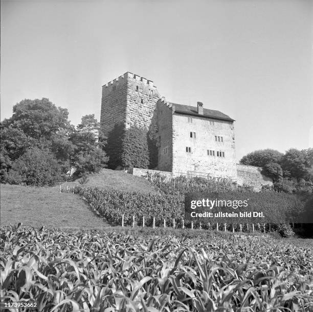 Habs Rug Habsburg Castle Photos and Premium High Res Pictures - Getty Images