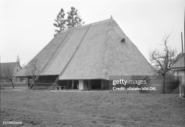 Muhen, thatched house, rebuilt after blaze, 1962