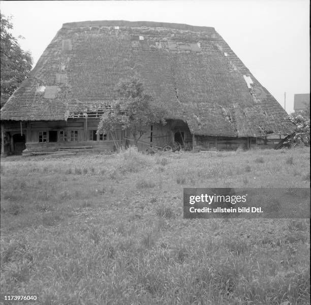 Muhen, rebuilding of the completely burnt down thatched house, 1962