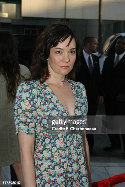Natasha Gregson Wagner during The Weinstein Company and Lionsgate Films Present the Los Angeles Screening of "Sicko" at The Academy of Motion...