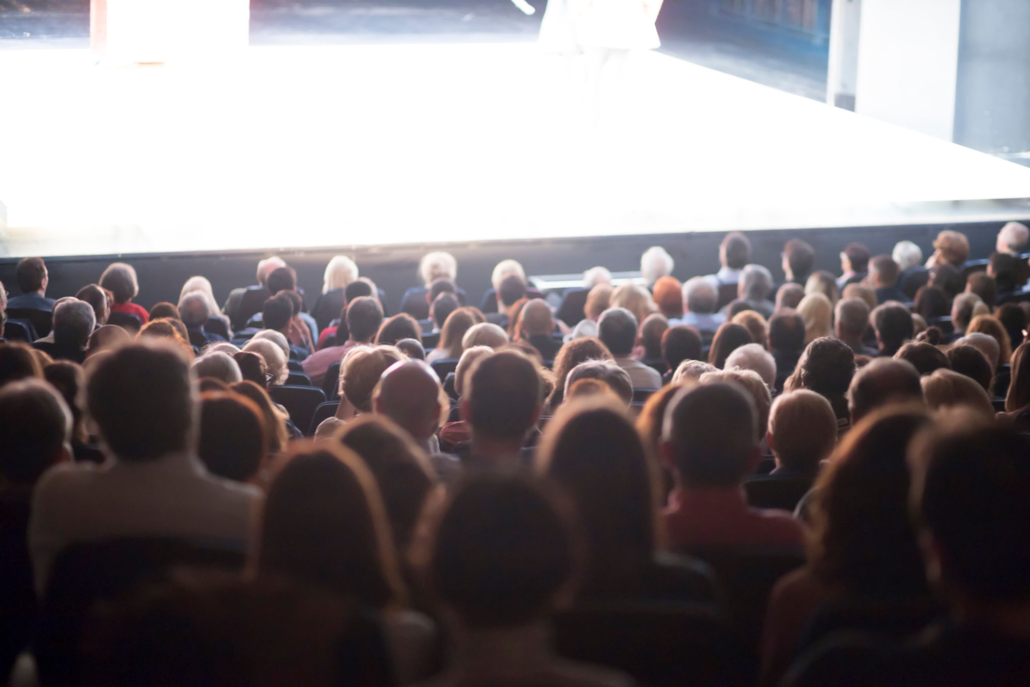 film festival audience
