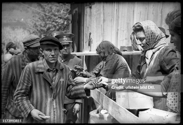 Refugees from the concentration camp of Dachau, 1945 Refugees from the concentration camp of Dachau, 1945