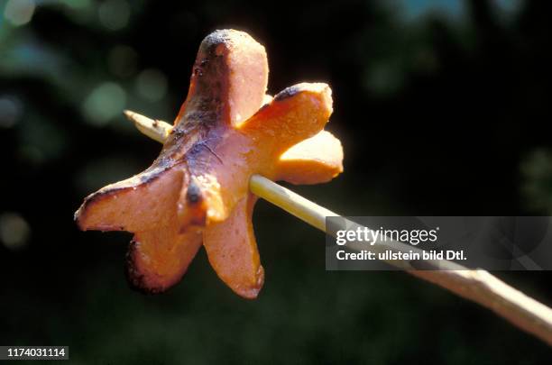 Cervelat, sausage on wooden stick, small branch