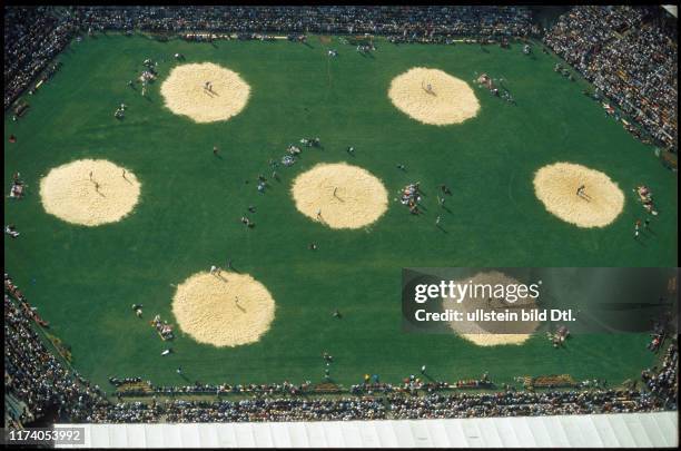 Eidgenössisches Schwing- und Älplerfest: Kampfplatz 1980