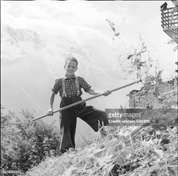 Junger Bergbauer beim Heuen, Mürren 1955