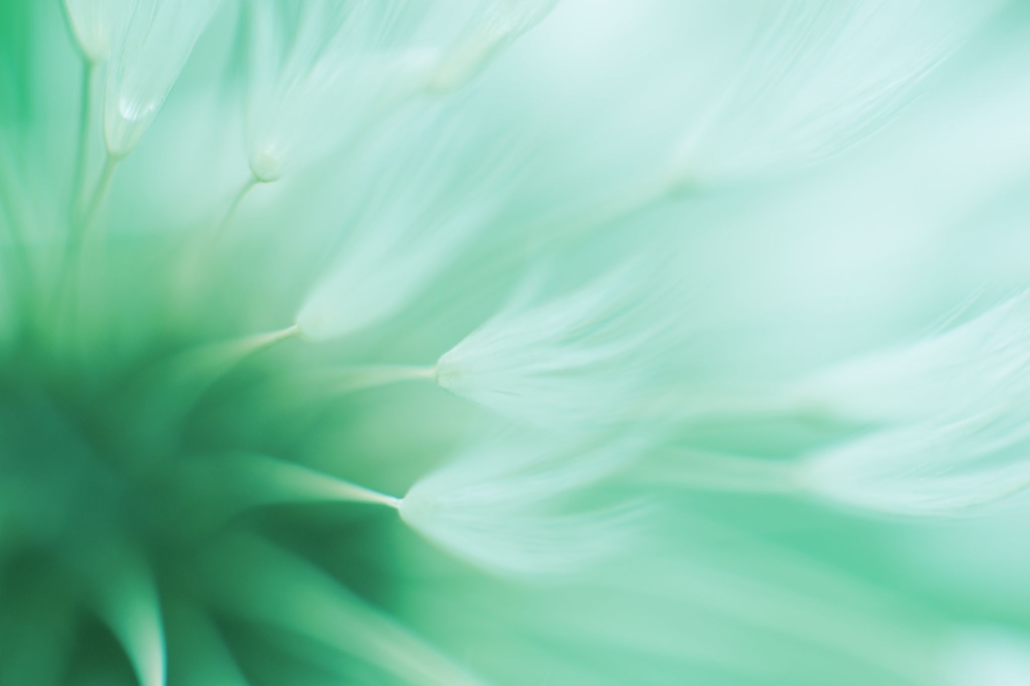 natural colors and textures