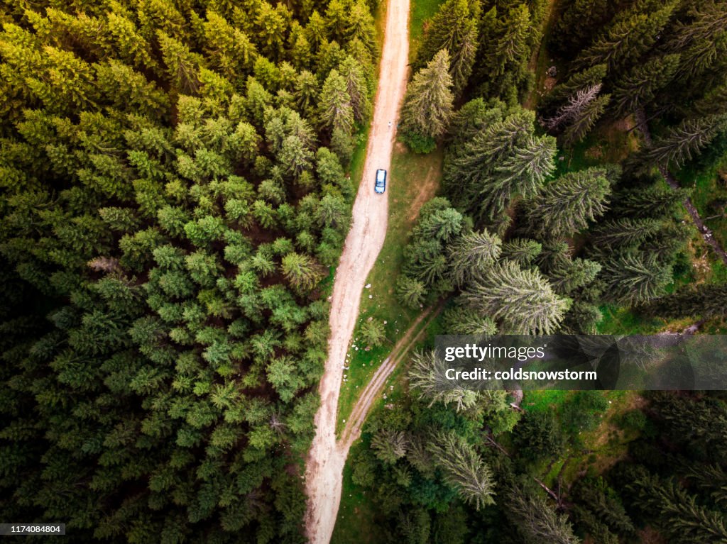 Luchtfoto van de auto op kronkelende bosweg in Wilderness