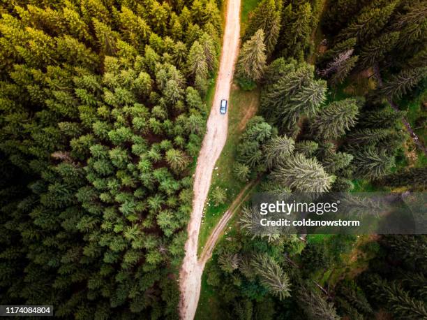 aerial view of car on winding forest road in wilderness - romania stock pictures, royalty-free photos & images