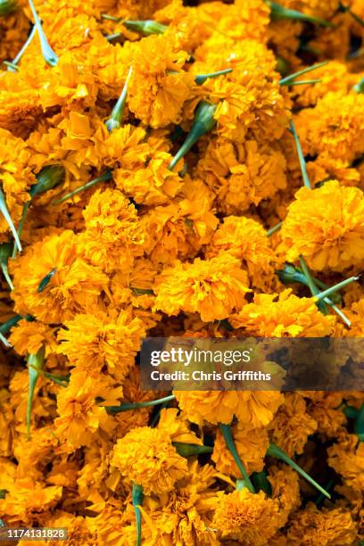 flowers for sale at a market in kochi, kerala - pookalam stock pictures, royalty-free photos & images