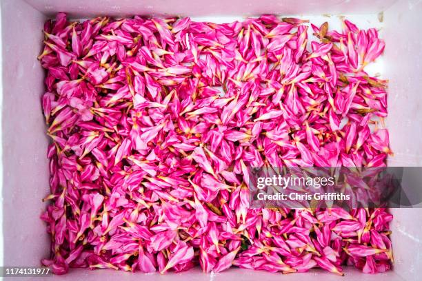 flowers for sale at a market in kochi, kerala - pookalam stock pictures, royalty-free photos & images