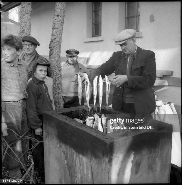 Felchen räuchern in Neuenburg 1956