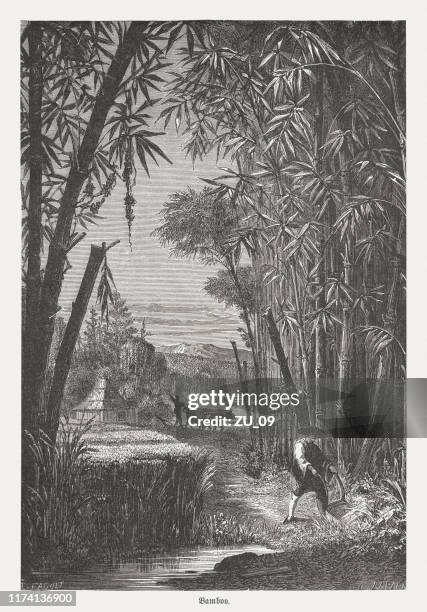 91点のモノクロ 稲イラスト素材 Getty Images 91点のモノクロ 稲イラスト素材 Getty Images