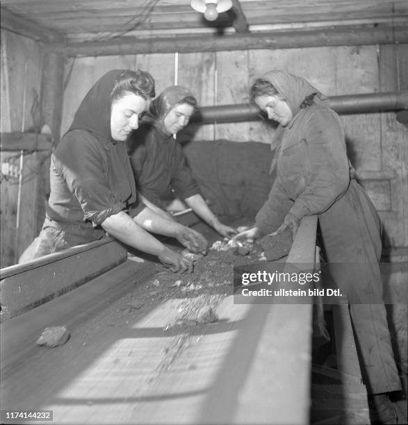 Frauen an Förderband; Kohlenbergwerk Chandoline; 1942