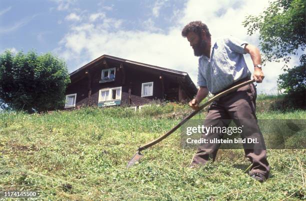 Toni Häcki, Bergbauer und Wirt, am Mähen 1989