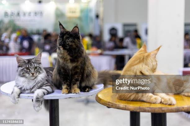 Matrade Exhibition 15 Matrade Exhibition And Convention Centre Stock Photos, High-Res ...
