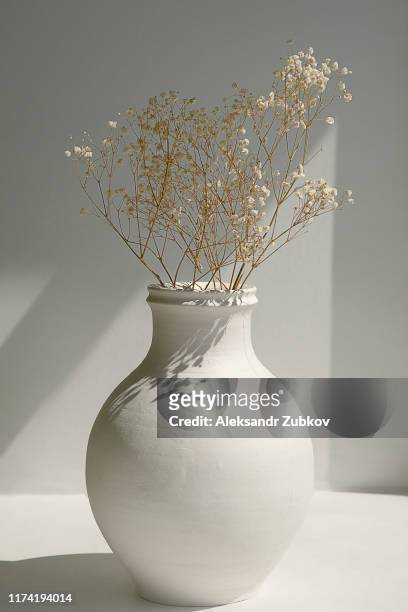 dried flowers in a white antique vase on the window. - vaas stockfoto's en -beelden
