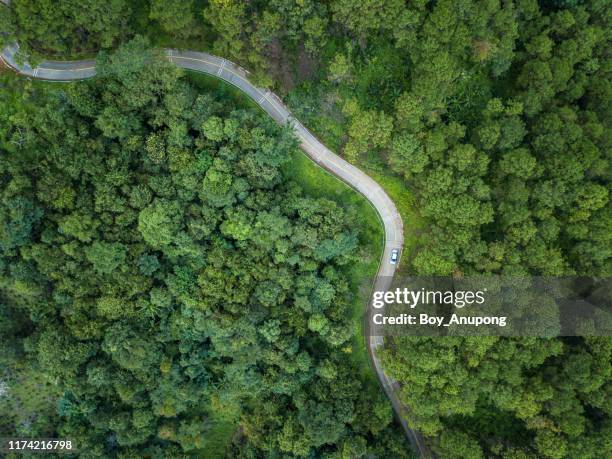 aerial view of car on the curved road cut throug green forest in the highland mountains in chiang rai province, thailand. - aerial mountain pass imagens e fotografias de stock