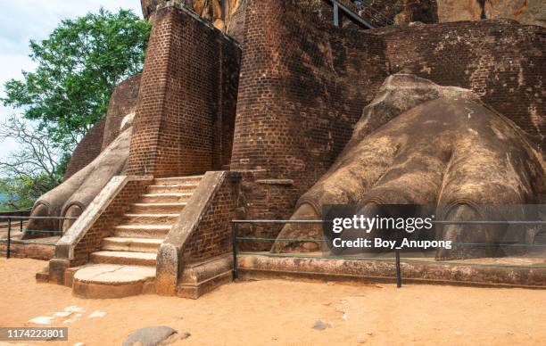 the lion's paw and narrow staircase to the top of lion rock in sigiriya ancient fortress in sri lanka. this place is one of unesco world heritage site in sri lanka. - tourism in the cultural capital of sri lanka stock pictures, royalty-free photos & images