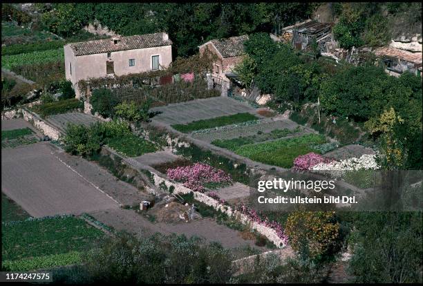 Bauernhaus mit Gemüsegarten unf Blumengarten, Cuenca, 1989