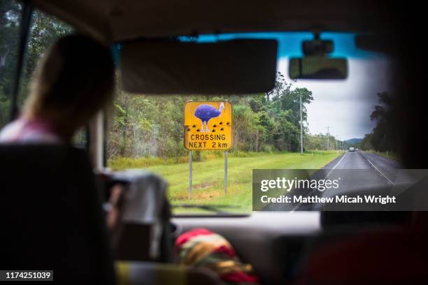 road signs warn drivers of the danger of the endangered cassowary bird. - mission beach queensland stock pictures, royalty-free photos & images