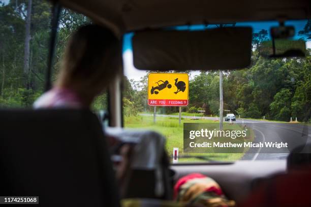 road signs warn drivers of the danger of the endangered cassowary bird. - casuario foto e immagini stock