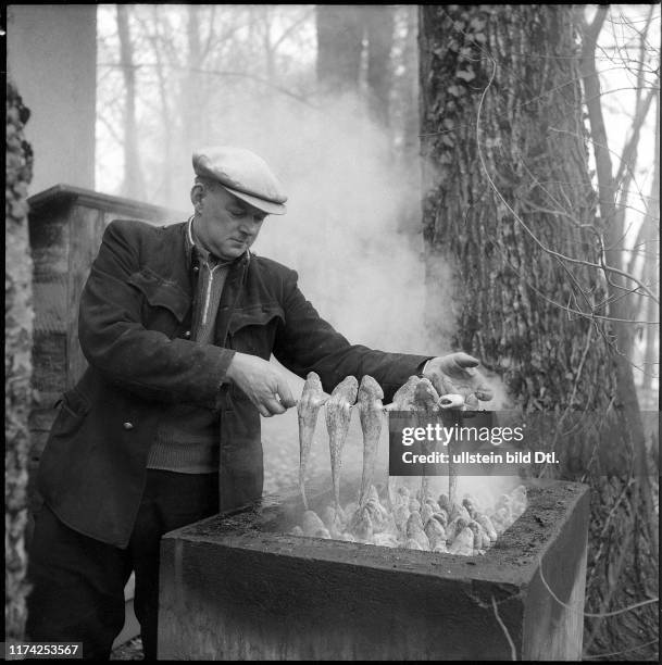 Felchen räuchern in Neuenburg 1956