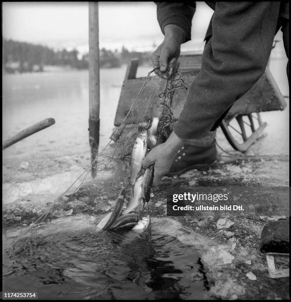 Eisfischen auf dem Lac de Joux 1945