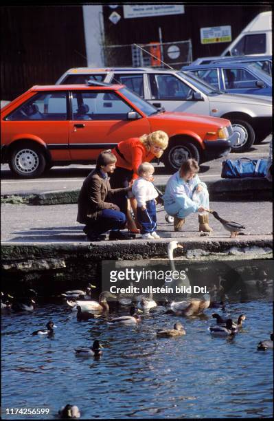 Menschen beim Enten füttern, Zürichsee