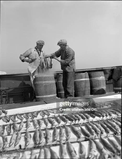 Holländische Fischer räuchern Makrelen, Nordsee 1954