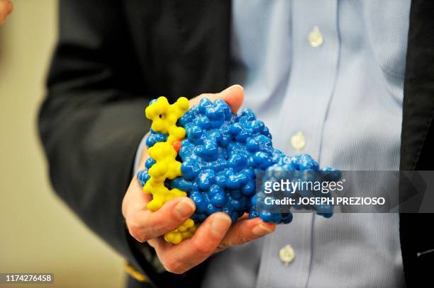 Dr. William G. Kaelin, Jr. MD, recipient of 2019 Nobel Prize in Physiology or Medicine, holds a model of the protein he has been working on as he...