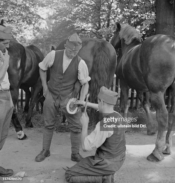 Soldaten beschlagen Pferd; 1939
